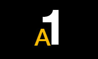 A1