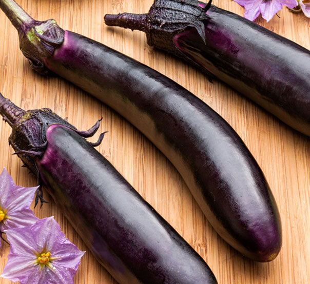 Eggplant Fleuressence