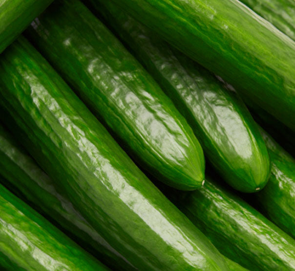 English Cucumber Fleuressence