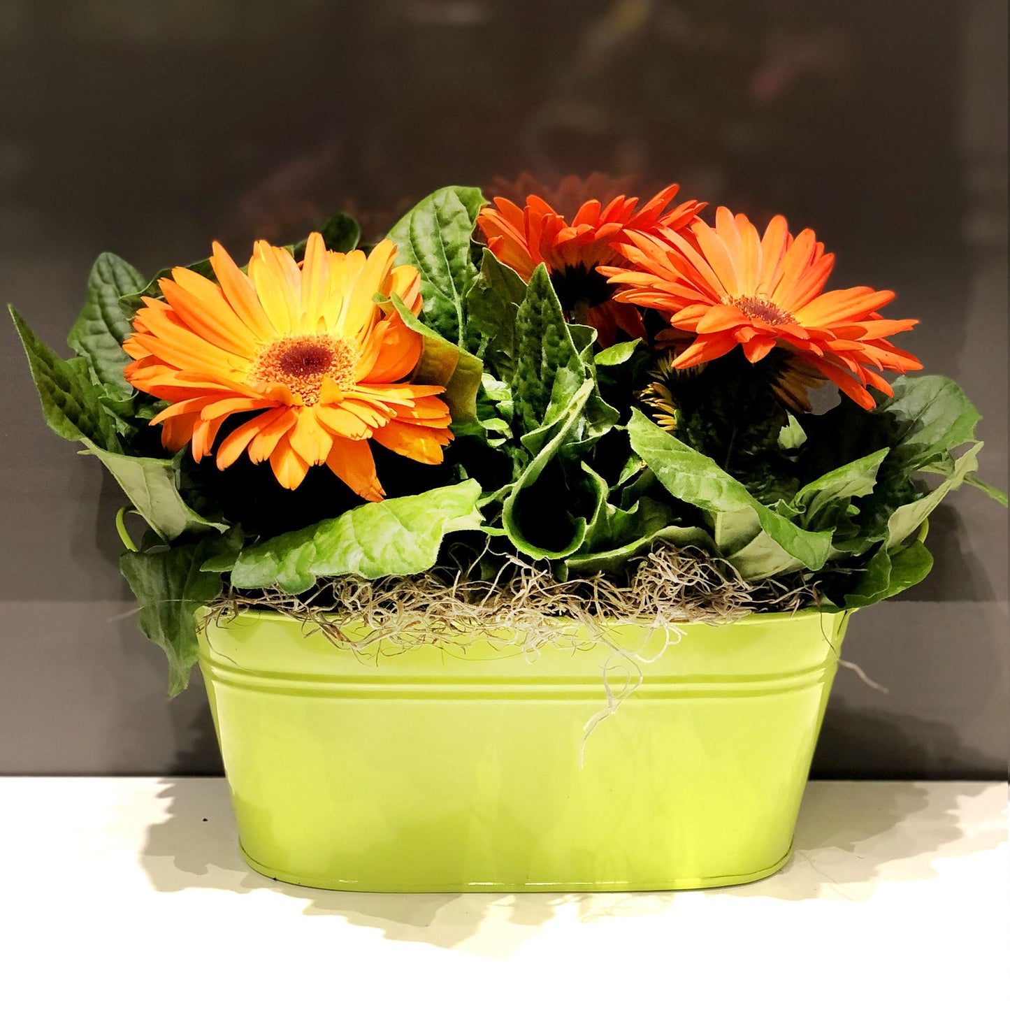 Gerbera Double Basket Fleuressence