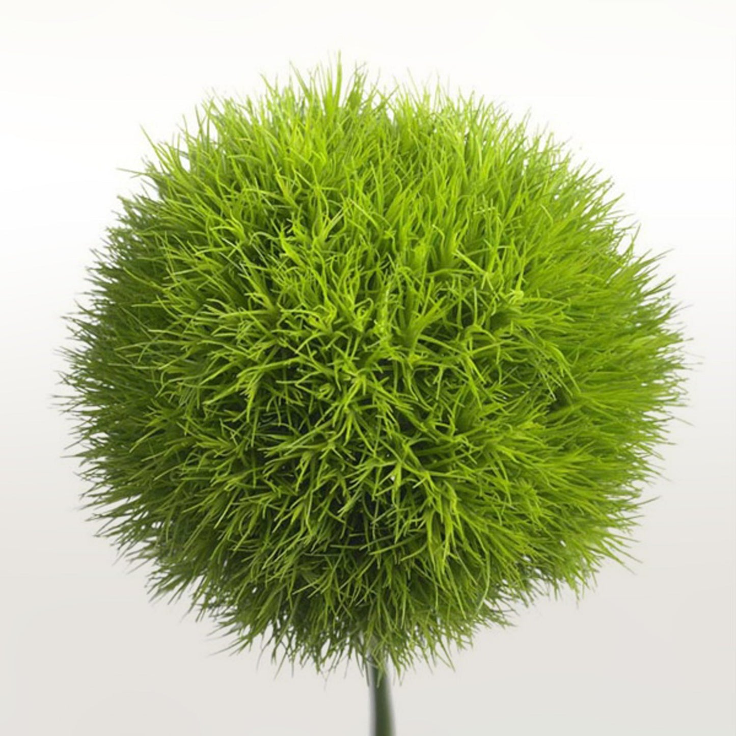 Green Ball Fleuressence