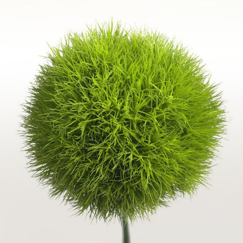 Green Ball Fleuressence 