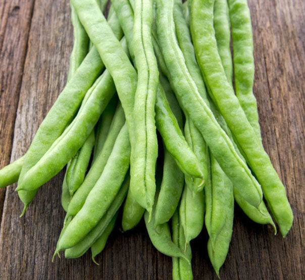 Haricot Fleuressence