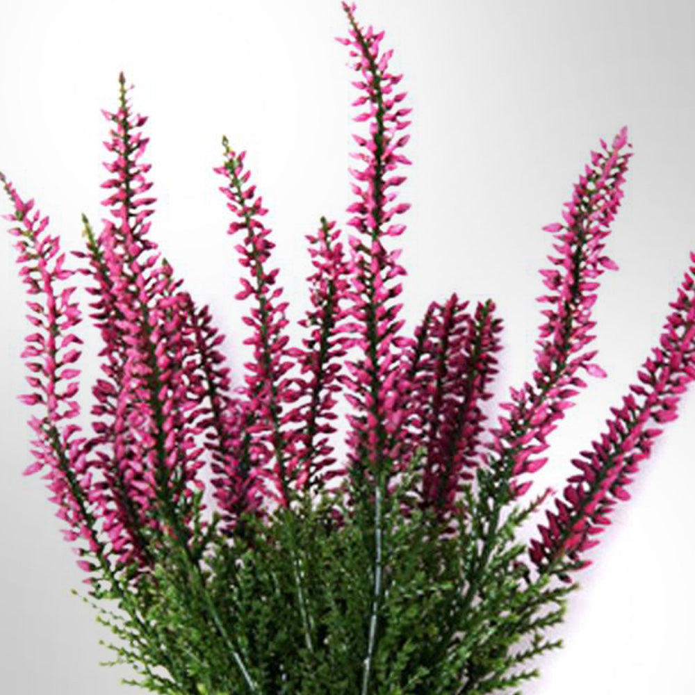 Heather Fleuressence