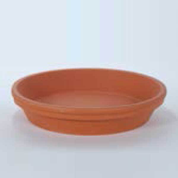 Sprang Standard Saucer Fleuressence