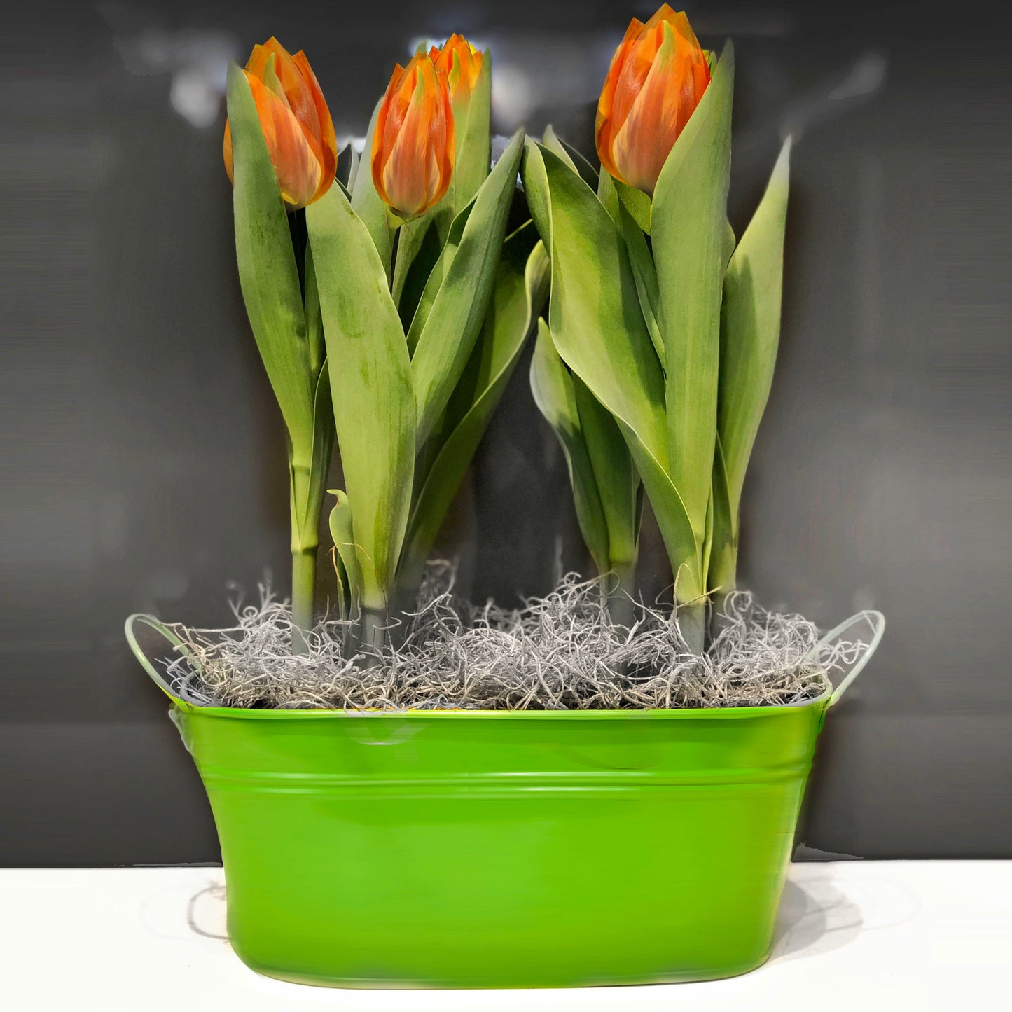 Tulip Double Basket Fleuressence