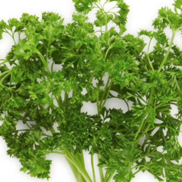 Curly Parsley Fleuressence 