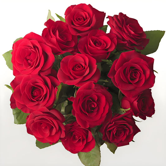 Bouquet de douze roses rouges