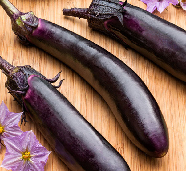 Eggplant Fleuressence 