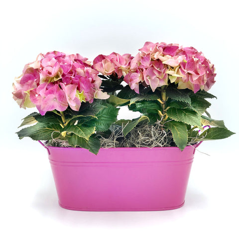 Hydrangea Basket Fleuressence 