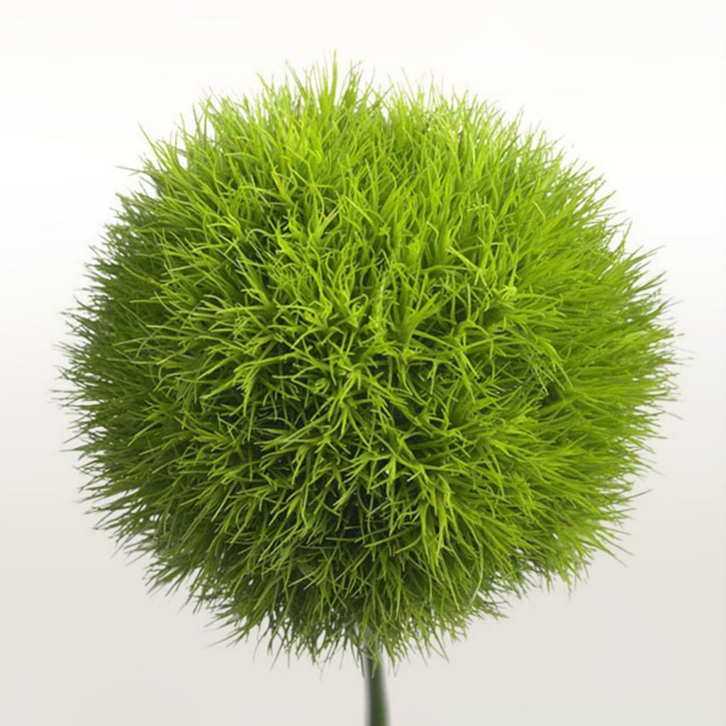 PSC-Green Ball Fleuressence 