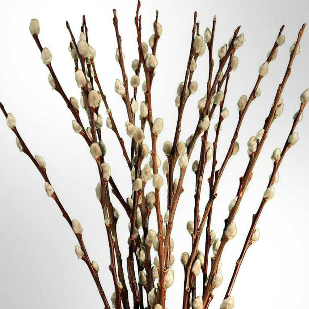 How To Make Miniature Pussy Willow Branches - The Petite Provisions Co.