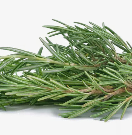 Rosemary Fleuressence 